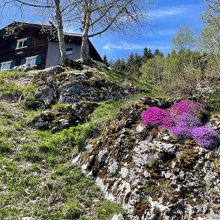 Alpenchalet Piz Huesli Tschagguns Extérieur photo