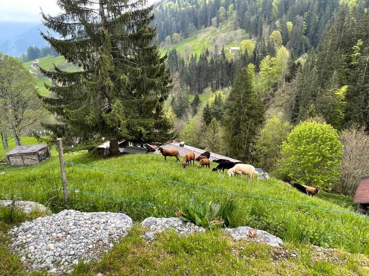 Alpenchalet Piz Huesli Tschagguns Extérieur photo